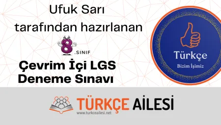 Çevrim İçi LGS Deneme Sınavı